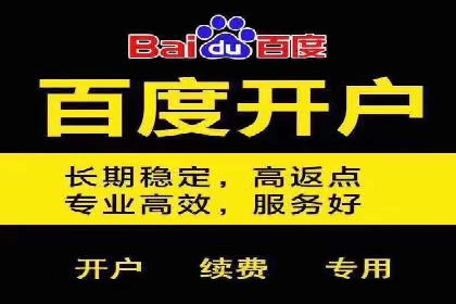 XX行业竞价广告的投放策略与效果分析