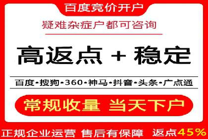 SEM竞价优化策略：成功案例解析